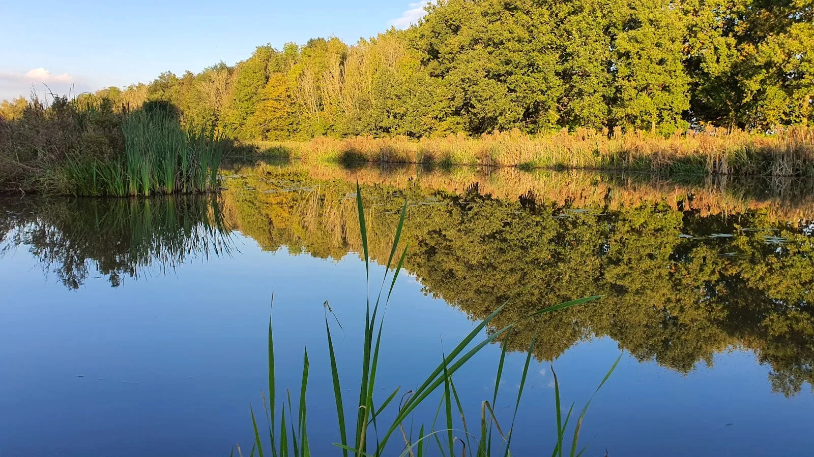U888 link mới nhất 2026-06-26, đăng ký, nạp rút và bắn cá đổi thưởng tiền thật · góc nhận định — lưu ý quan trọng